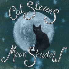Moonshadow