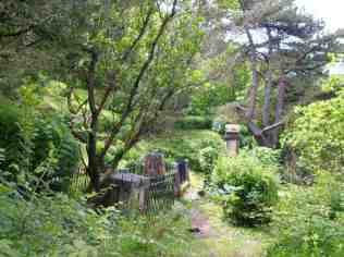 cmenterio de los inglesees 2