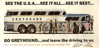 greyhound-antiguo