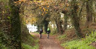 caminantes-en-bosque