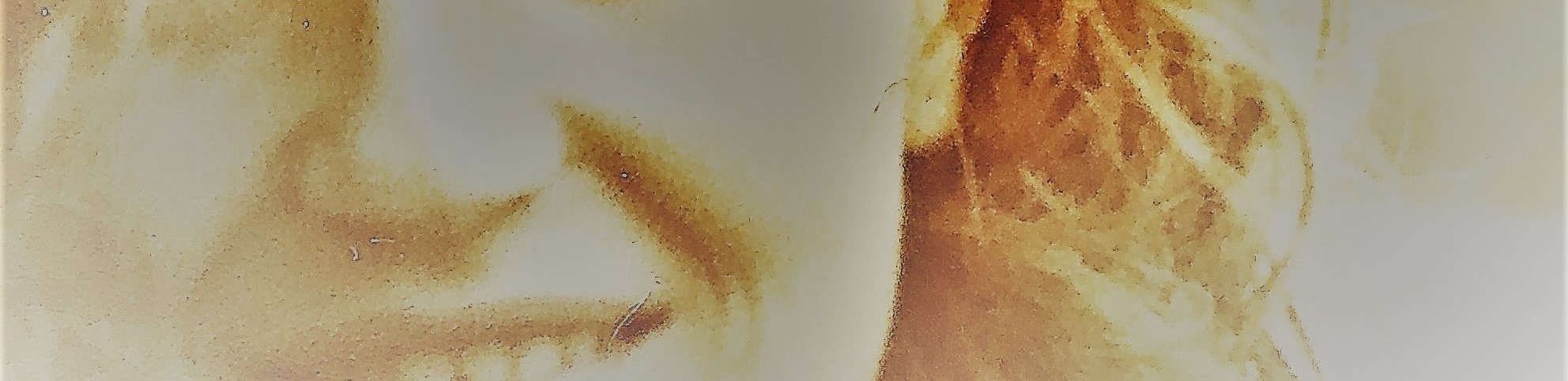 Reme- retocado 6.jpg