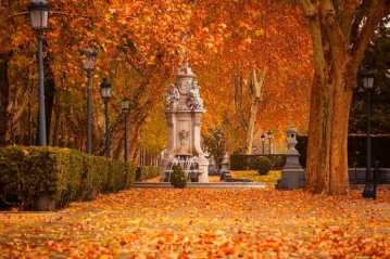 Romantic landscape of Madrid downtown at early winter