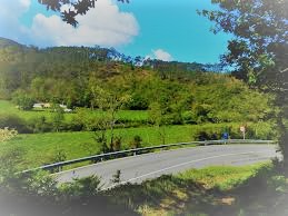 Carretera paisaje verde 1 - retovado